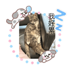 大寶小寶一起歡樂