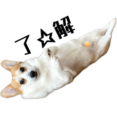 のりやまのりじろうスタンプ