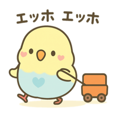 piyo studio_20251207080510