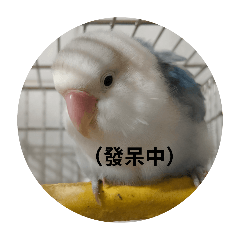 给自己做的芋頭