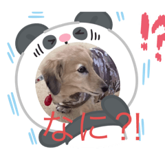 kaito_20251206181103