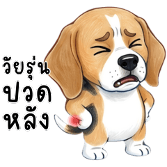 Beagle, a cute little dog ^__^ (Ver.2)