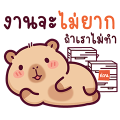 BongBong, the naughty capybara 9