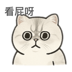 小嘟的開心貓生