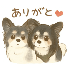 takumi_20251206185820