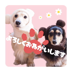 chiichun_20251206233816