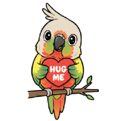 นกแก้วกรีนชีค ( Green-cheeked Conure )