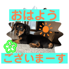MSK_20251207111153