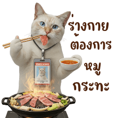 Krathi, the playful little cat.