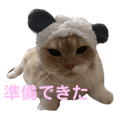 oinarisan_20251207114041