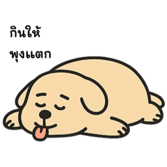 หมาอ้วนพุงเต่ง