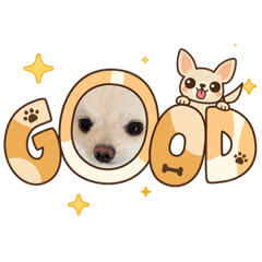 มิลเฟยลูกแม่แม่