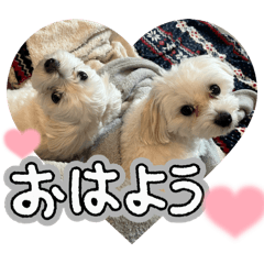 wakana_20251207021115