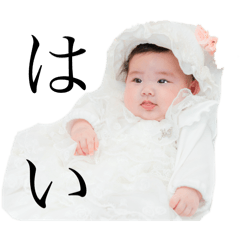 Yuccha_20251207101509