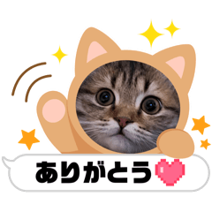 haruka_20251207111331