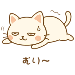 TaKeShI_20251207121047