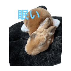 Minato_20251207124741