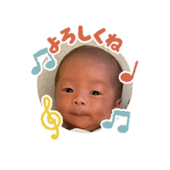 Hikari_20251207125025