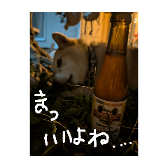 oyabin_20251206214146