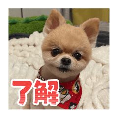 Muteki_20251207125741