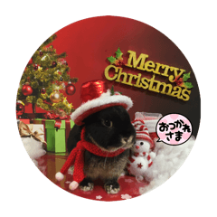 Yochichi_20251207134410