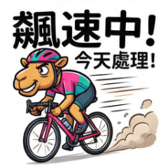 camel的客服人生