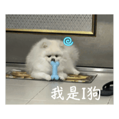 tang_0228_2