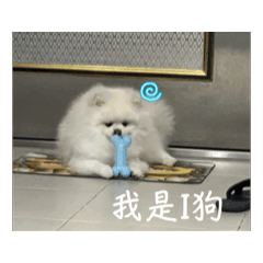 tang_0228_2