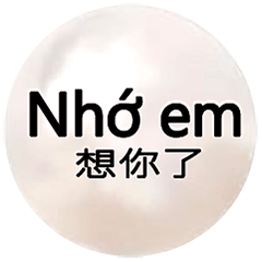 Taiwan Vietnam Dialogue Crystal BallNEW2