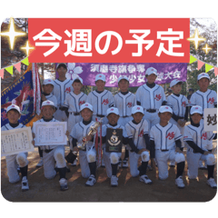 SAORI_20251207081128