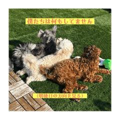 Sachi_20251207120253