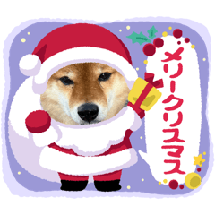 mamacoro sora_20251207145743