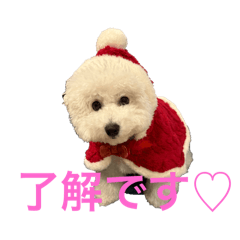 Sakura_20251207153947