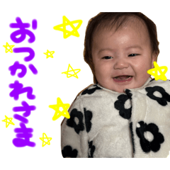 sakura_20251207160051