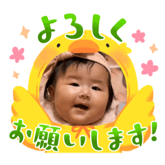 koara_20251207162258