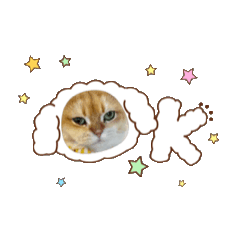 cute animals_20251207162850