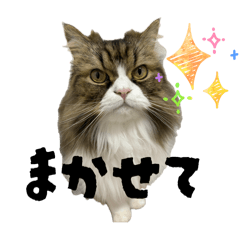 yukio_20251207170503