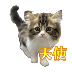 yukio_20251207170249