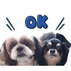 YUUUI_20251207170346