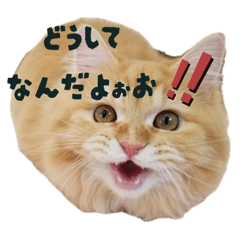 yukio_20251207170406