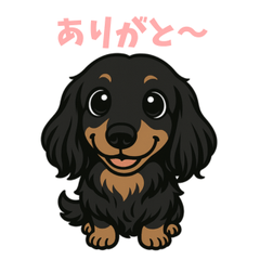 Black & Tan Dachshund Silva