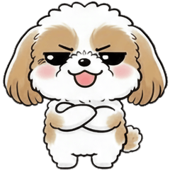 Tsundere Shih Tzu Yoshimaru