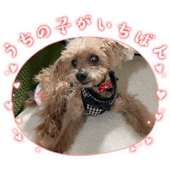 marorin_20251207174552