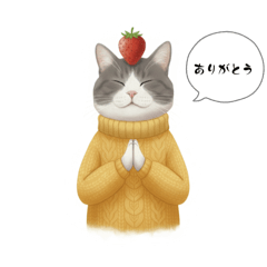 kazue_20251207213400