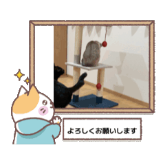 itigo_20251207225407