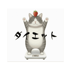 kazue_20251208000811