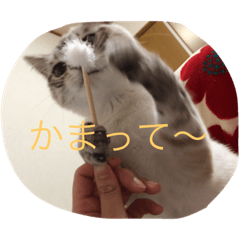 Yuki stamp.