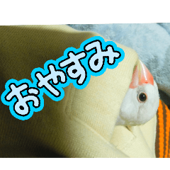 miyaji_20251205182139