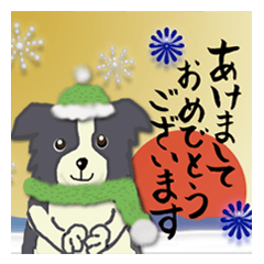 Border Collie Winter