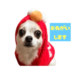 hayashida_20251206001316